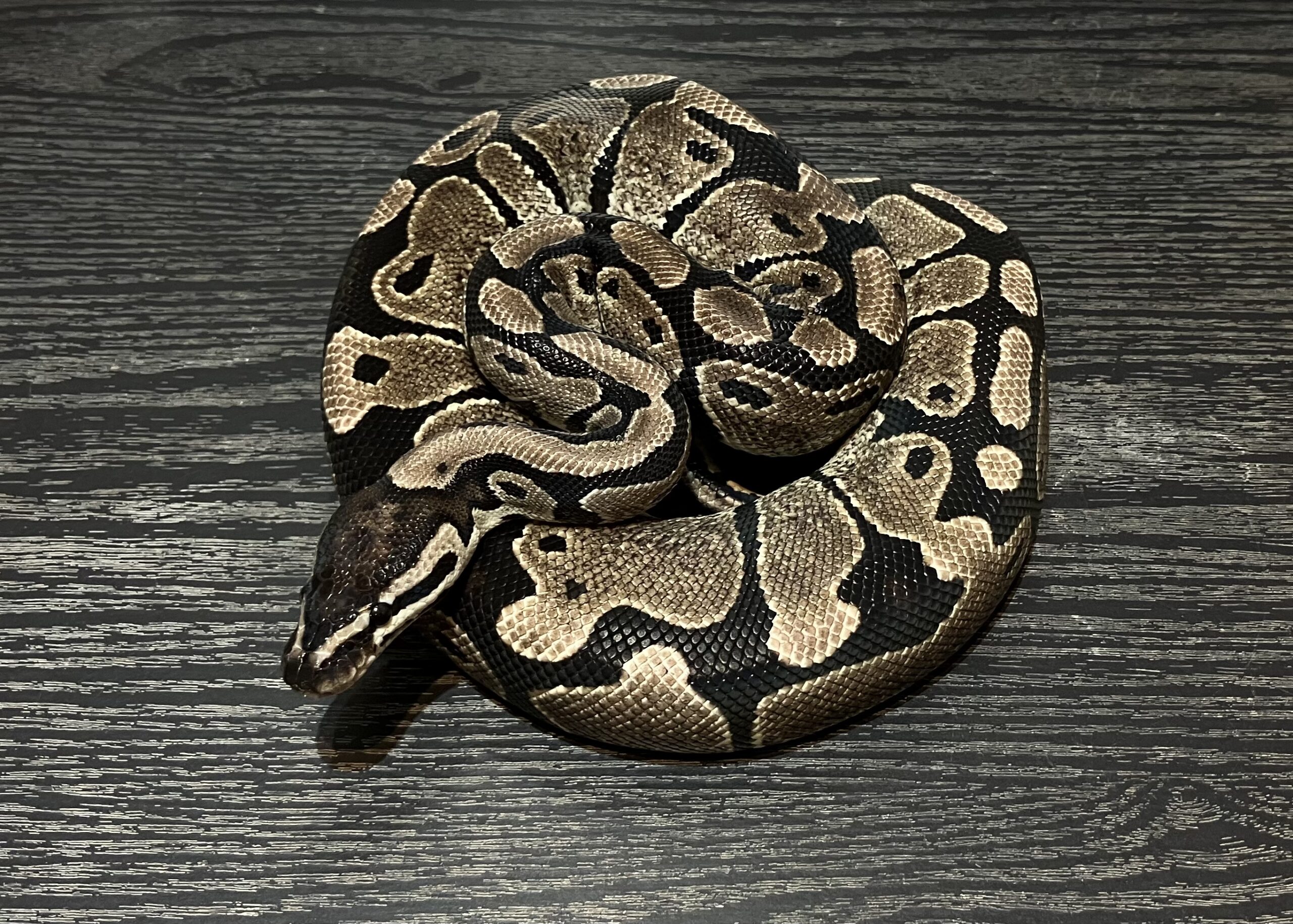 VPIアザン